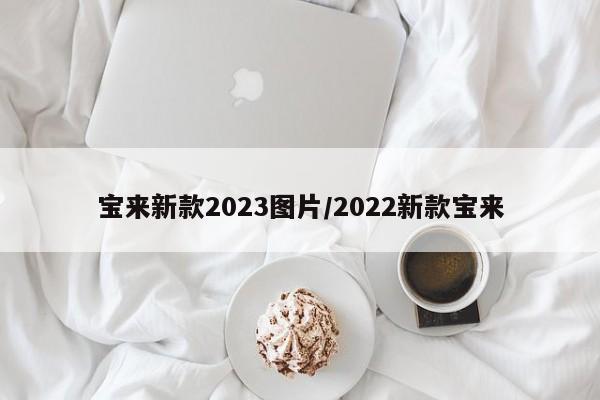 宝来新款2023图片/2022新款宝来