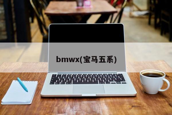 bmwx(宝马五系)