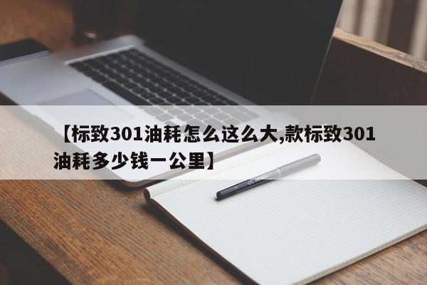【标致301油耗怎么这么大,款标致301油耗多少钱一公里】