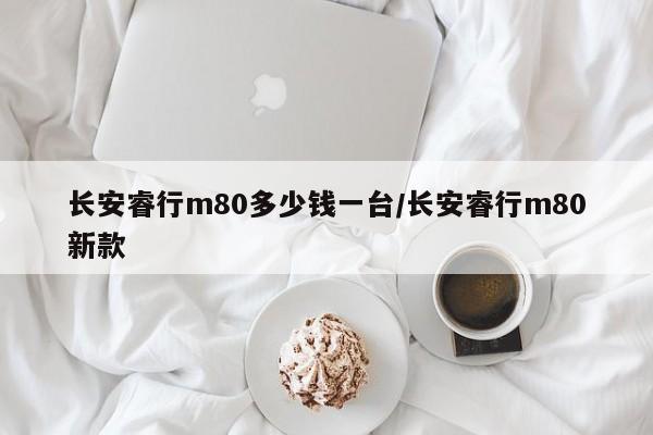长安睿行m80多少钱一台/长安睿行m80新款
